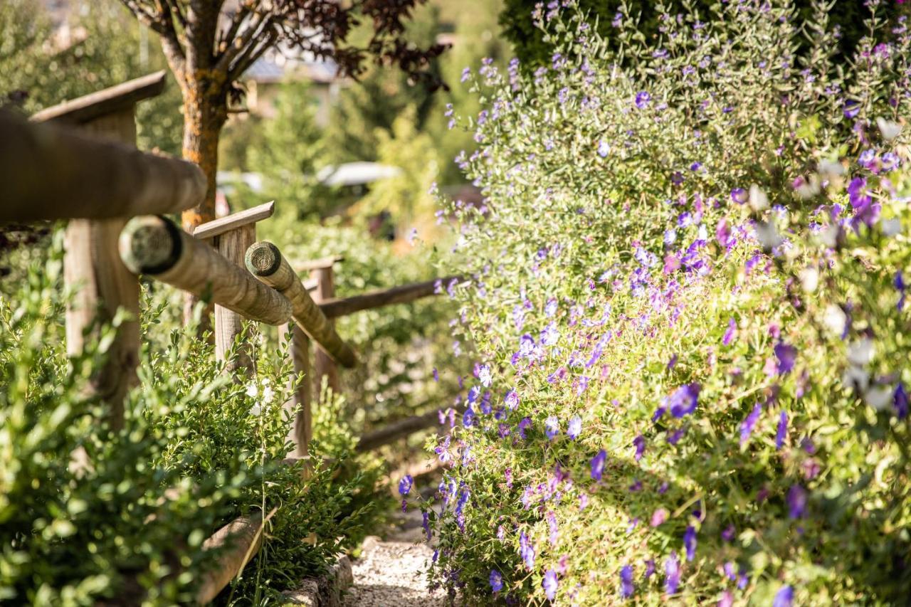Belvedere Dolomites Flower Hotel Moena Esterno foto