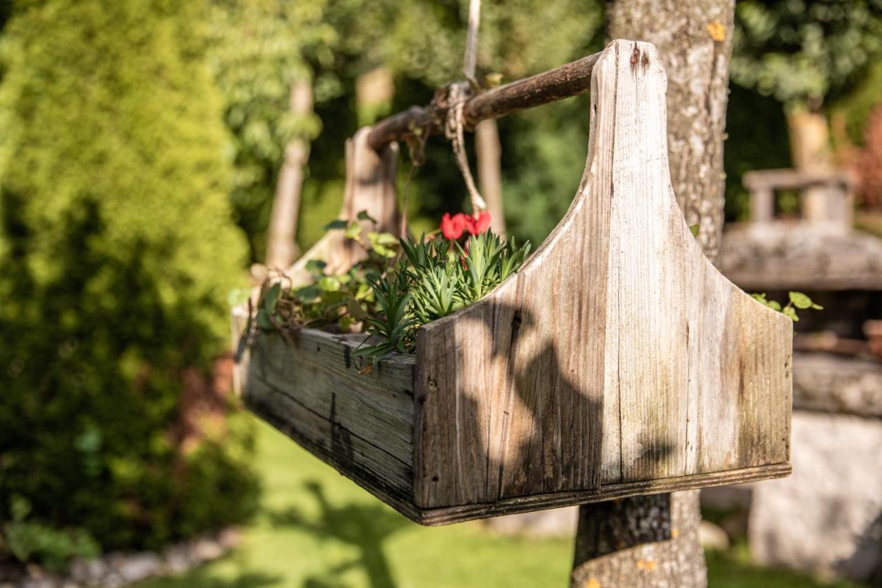Belvedere Dolomites Flower Hotel Moena Esterno foto